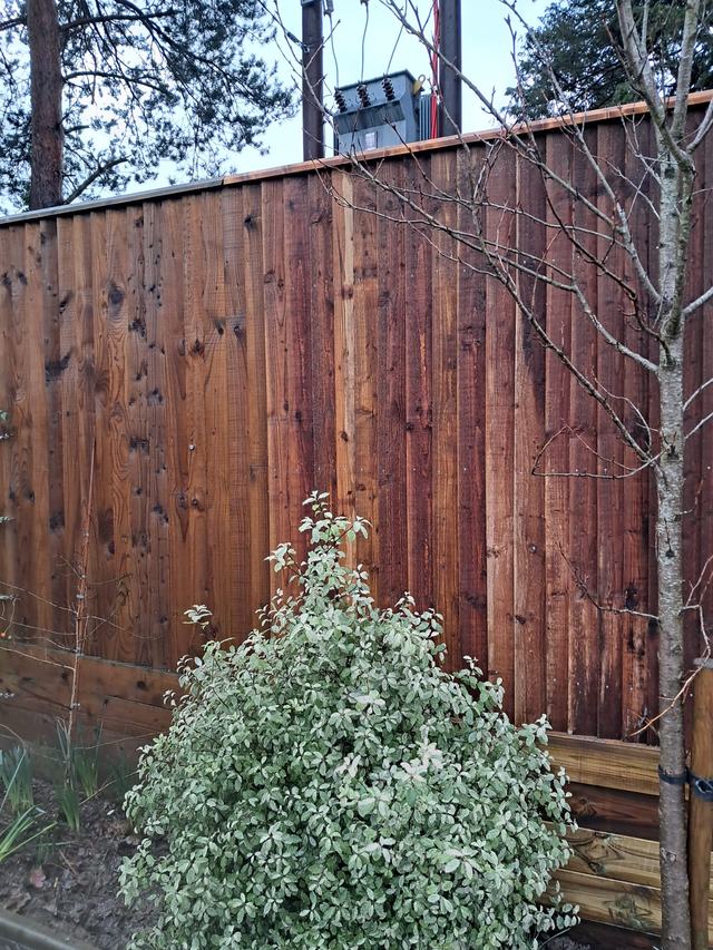New stained closeboard fence beside the pavement in Droitwich