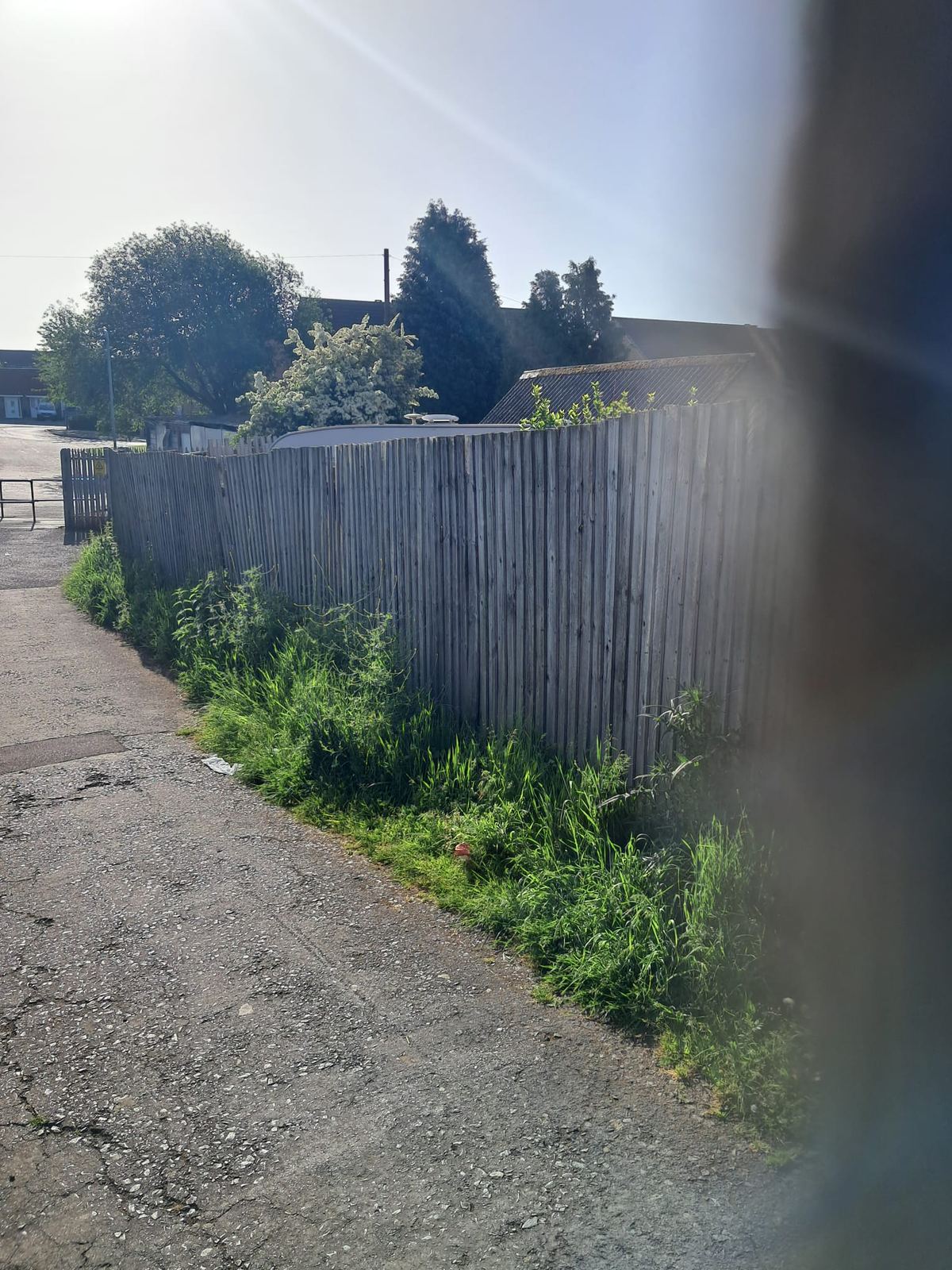 Replacement closeboard fence beside an access path in Kidderminster, photo 2