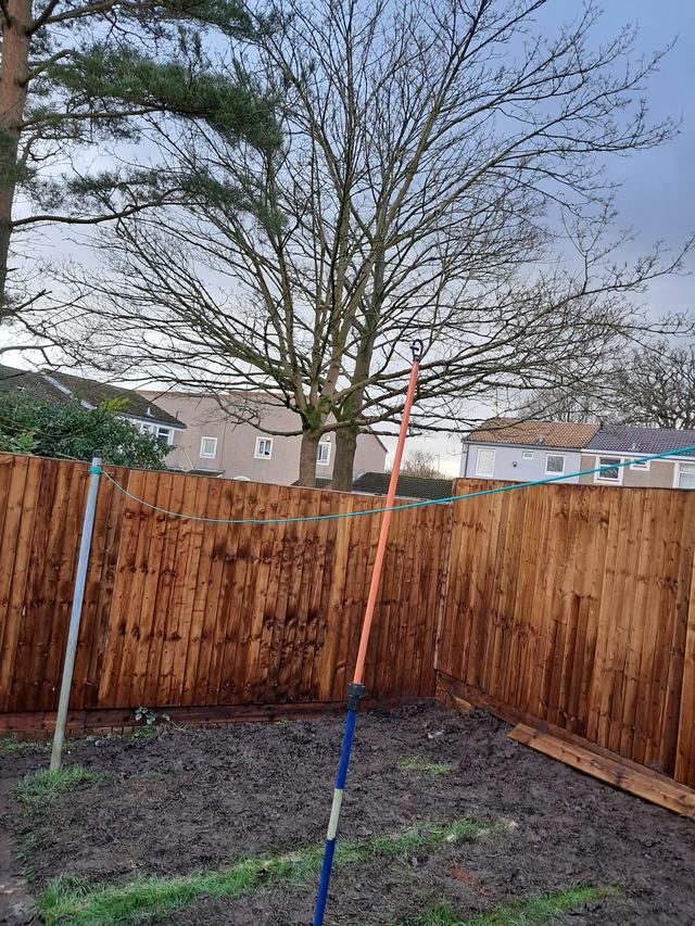 Dark-stained closeboard fence panels in a Kings Norton garden