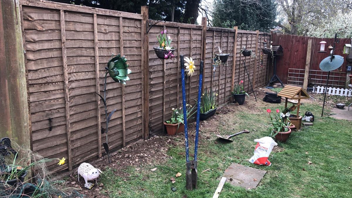 Lap panel fence along a Kings Norton back garden, photo 2