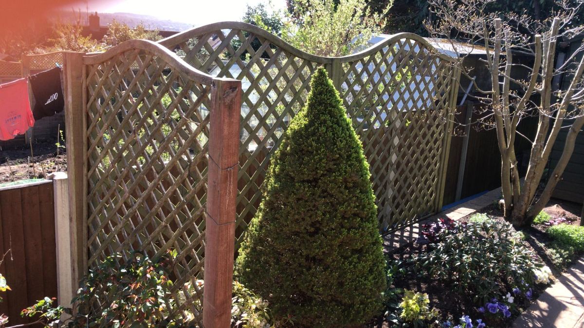 Dark brown fence with a trellis-topped panel in Stourbridge, photo 3